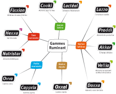 gamme-rumi-ptit