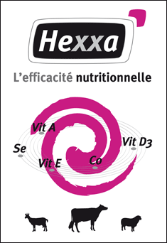 Hexxa Nutrionnels