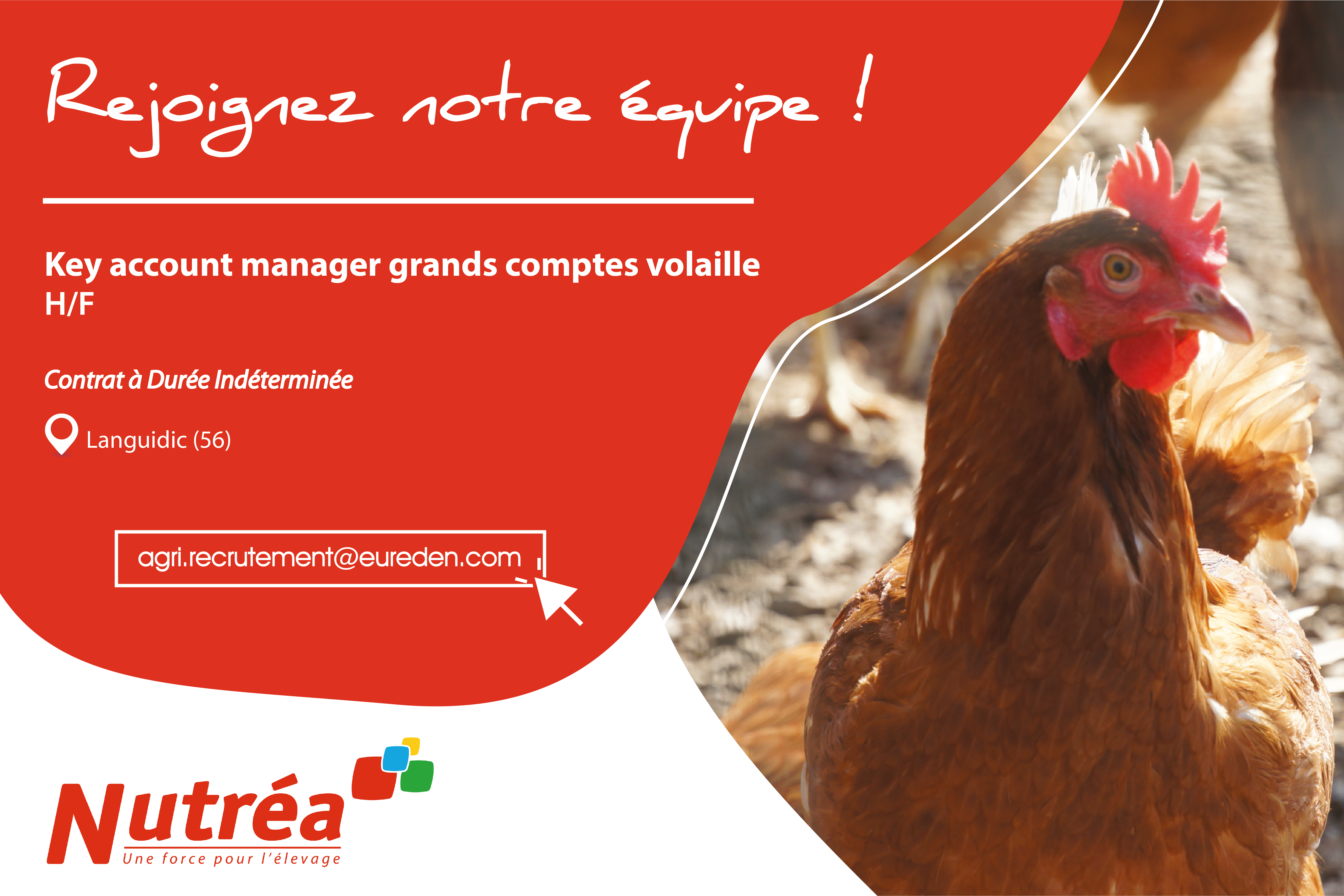 Key account manager grands compte volaille (H/F) (png)