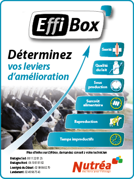 Effibox