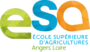Logo ESA Angers
