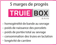 Truie Box 5 marges de progrès