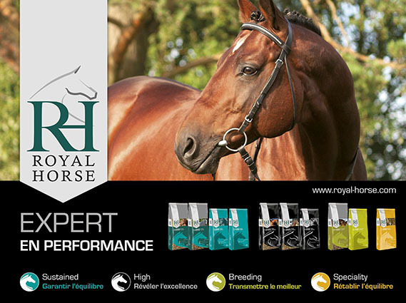 visuel_rh_expert_en_performance